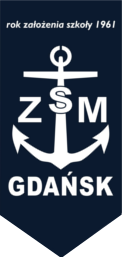 zsm logo